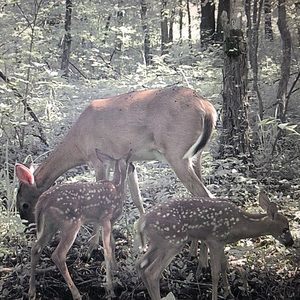 Meet your Posher, Adam